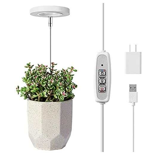 LORDEM Grow Light, Full Spectrum LED Plant Light for Indoor Plants, Height Adjustable Growing Lamp with Auto On/Off Timer 4/8/12H, 4 Dimmable Brightness, Ideal for Small Plants