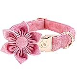 Elegant little tail Pink Girl Dog Collar for Female Dogs, Pet Collar Adjustable Dog Collars with...