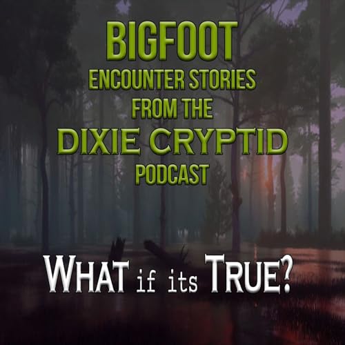 Sasquatch Stories from Dixie Cryptid_CU_02 Podcast Por  arte de portada
