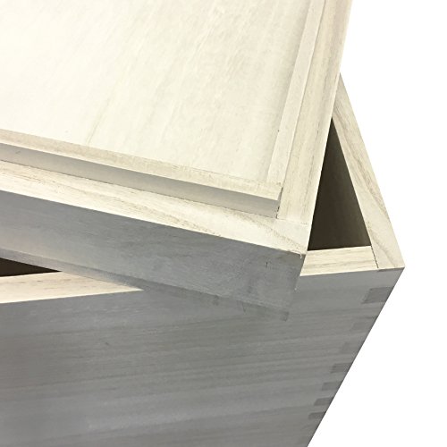 無所属 アンディ作1.5尺幅立春山図 桐箱付 縦186cm 幅54.5cm 兵庫 無所属 アンディ作1.5尺幅立春山図 桐箱付 縦186cm 幅54.5