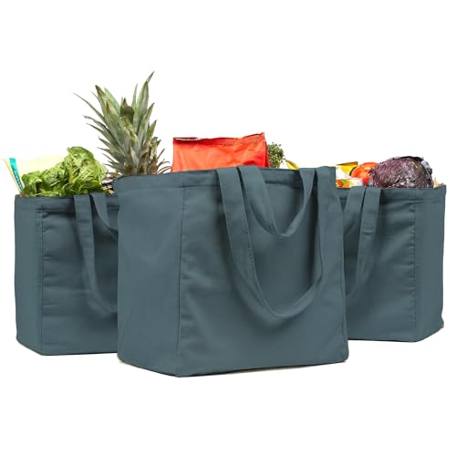 10 Best Canvas Grocery Bags That Make Shopping a Breeze 8 VeraMia Canvas Grocery Bag 3pc XL Set