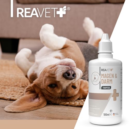 ReaVET Magen & Darm Tropfen für Hunde 100ml I Darmsanierung Hund – Unterstützt die natürliche Verdauung & Darmflora, Darmregulierung - sekundierend bei Durchfall oder Blähungen
