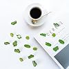 40Pcs Cactus Push Pins Cactus Thumb Tacks Decorative Flower Cork Board Tacks for Bulletin Board, Photos Wall Maps and Other Offices Schools Supplies and Accessories, Resin… #5