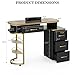Paddie Manicure Table for Nail Tech, Glass Top Nail Desk Station w/4 Drawers & 2-Tier Storage Shelves, Salon Beauty Workstation Acetone Resistant w/Wrist Cushion, Golden Handles (Black)