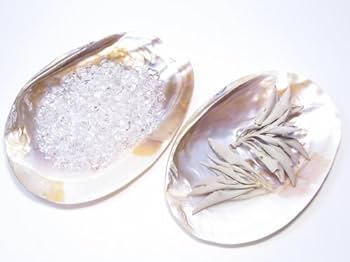 Amazon.co.jp: 自由が丘AMERI パールシェル 貝殻(真珠貝) 【AAA