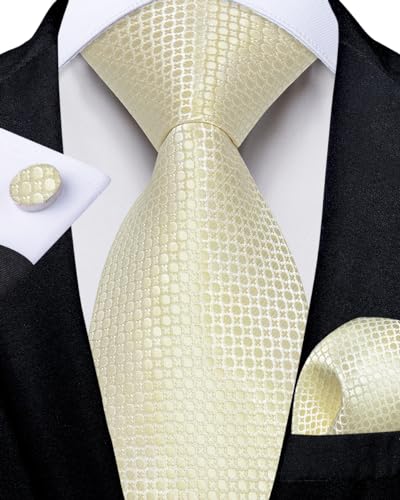 Image of DiBanGu Silk Ties for Men Necktie and Lapel Pin Brooch Set Formal Woven Paisley Plaid Striped Solid Tie Wedding Party