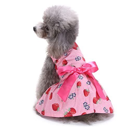 Angoily Sommerkleid Für Hunde Ärmellos Erdbeer Motiv Welpenrock Mit Schleife Atmungsaktive Haustierkleidung Alltag Urlaub Klein Bis Mittelgroß