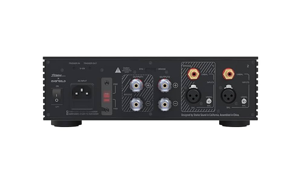 Amazon.com: EVERSOLO AMP-F2 2 Channel Power Amplifier (Black