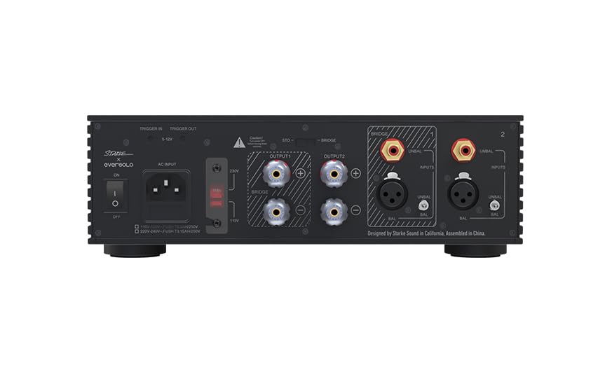 Amazon.com: EVERSOLO AMP-F2 2 Channel Power Amplifier (Black