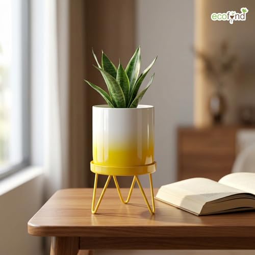 Image of ecofynd Lucas Metal Plant Pot with Yellow Stand, Modern Style Planter Set, Indoor Outdoor Home Decor Item for Garden Plants Flower, Balcony, Patio, Living Room, Garden, Bedroom (PWS032-WHTYLW)