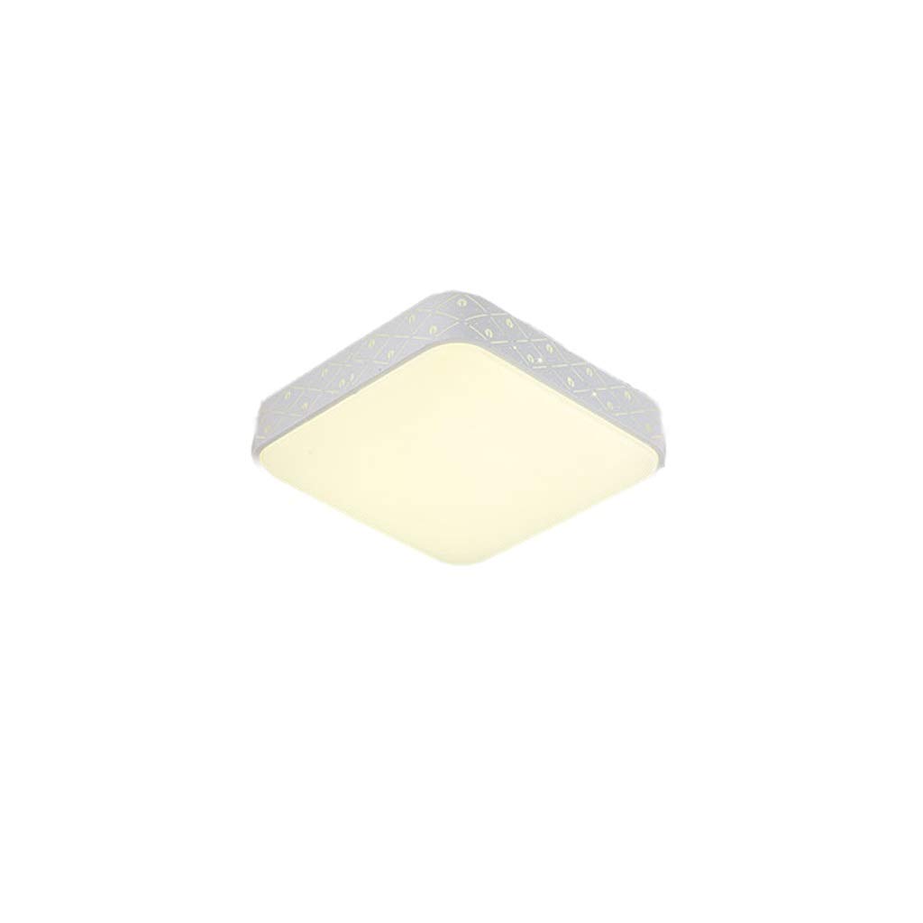 HynJGih Led Ceiling Lamp Round Bedroom Lamp Simple Modern Living Room Lighting Home Creative Balcony Restaurant Lighting(E,Stepless dimming)