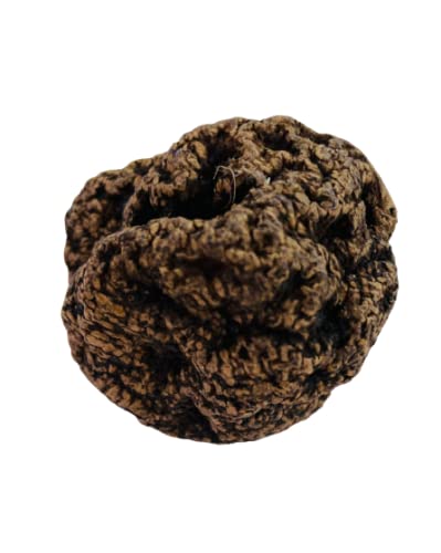 Panchdravya High John The Conqueror Root (1 Piece) herb Big Ritual use