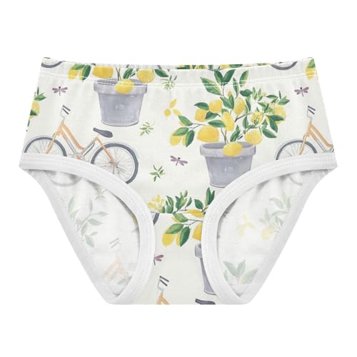 Wusikd Gray Bicycles Girls' Underwear Cotton Lemon Trees Girls Briefs Soft Toddler Underwear 2T