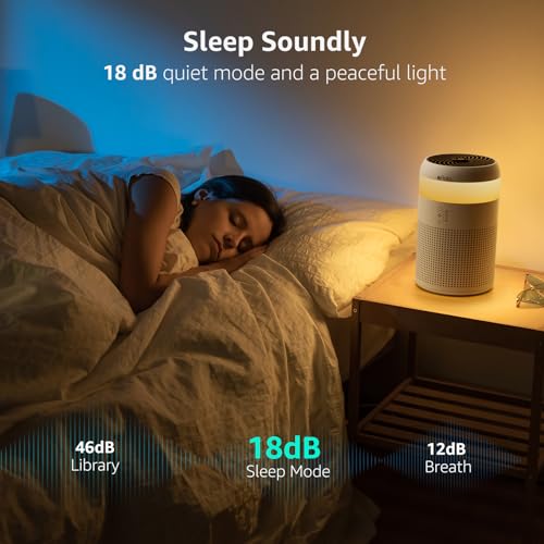 Afloia Air Purifiers for Bedroom with 7 Colors Light  Fragrance Sponge for Home Office Living Room Small Desktop Air Purifier for Pet Dander Mold Pollen Odor Smoke Dust  Cucciolini Doodles Afloia air purifiers for bedroom with 7 colors light  fragrance sponge for home office living room small desktop air purifier for pet dander mold pollen odor smoke dust   cucciolini doodles