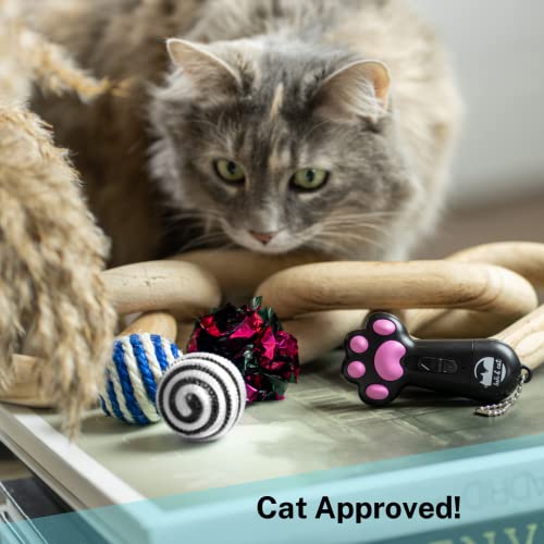 Luli & Cat Usb Rechargeable Cat Laser Pointer | Multi-Function Cat Laser Toy For Indoor Cats | Interactive Cat Toy Gift Set #TOP3