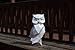 Owl Figurine Old Paper Sculpture,Pre-cut DIY Papercraft Kit,Handmade Animal Figurine,White Color,Low Poly Home Decor,All Accessories Included