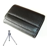 Frog Shelf Series-365-Day Riddles (Chinese Edition) 7532465314 Book Cover