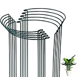 10pack Garden Plant Support Stake, SproutMaven 10"Wide x 16"High Half Round Metal Garden Border Support, Plant Support Ring Cage for Outdoor Indoor Plants