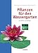 Produktbild Pflanzen für den Wassergarten: Auswählen und pflegen (Edition Ulmer)