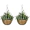 Outsunny 2 PCs Artificial Lisianthus Flower Hanging Planter Basket