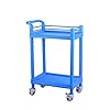 YASEking Trolley-Double Beauty Salon Kar Instrument Cart Ziekenhuis Nail Cart Tool Cart Mobile Blue Praktisch (Maat: 54…