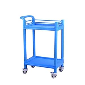 YASEking Trolley-Double Beauty Salon Kar Instrument Cart Ziekenhuis Nail Cart Tool Cart Mobile Blue Praktisch (Maat: 54…