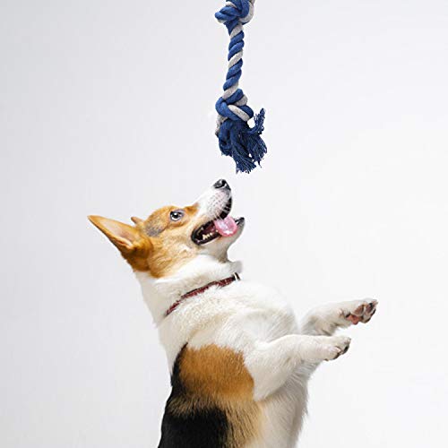 M JJYPET Dog Toys, Dog Chew Teething Toys for Small Medium Breed Chewers, No Stuffing Plush Squeaky Dog Toys,Dog Rope… - Image 6