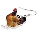 Imagen de DOWAY Pendientes de acrílico con diseño de gallina y gallo