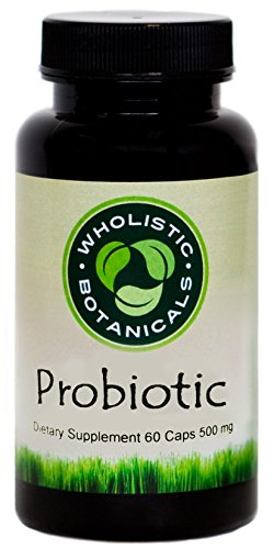 Wholistic Botanicals Probiotic Caps â€” Probiotics for Women and Men â€” Dietary Supplement for Diet and Weight Loss, Digestive Health, Immune System Booster â€” Healthy Bacteria â€” 60 ct