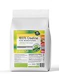 EFNE | Creatina 100% Monohidrato 200 Mesh Micronized | 1kg en Polvo | 100% Pureza y abosrción |Aumenta Resistencia | Aumenta Fuerza | Sabor Neutro | Vegano | Fabricada sin mezclas