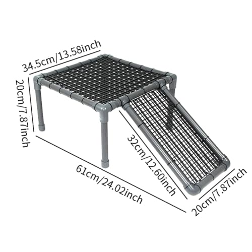 Dragons barbus et petits repti : plateforme de bronzage stable - 3