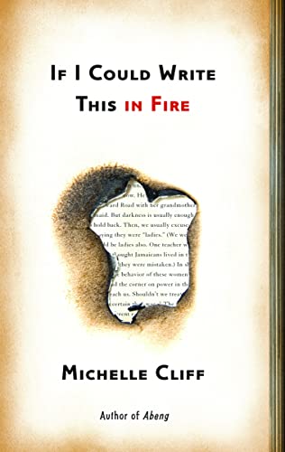If I Could Write This in Fire view 2
