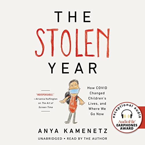 The Stolen Year by Anya Kamenetz episode artwork