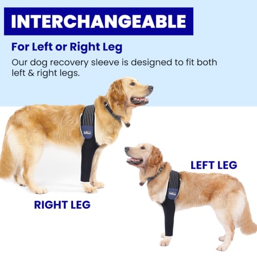 Image of Dog Leg Sleeve for Front Leg | Prevent Licking Ensure Faster Recovery, Cone Alternative, Breathable Material, Stretchy Elastic Band, For Hot Spots, Wounds