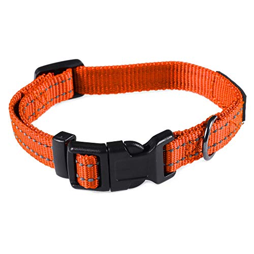 Image of Max and Neo Neo Nylon Buckle Reflective Dog Collar - We Donate a Collar to a Dog Rescue for Every Collar Sold (X-Small, Orange)