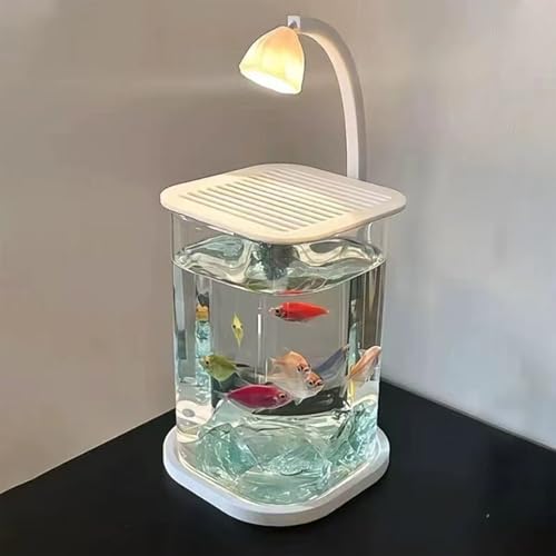 ガラス製 熱帯魚 セット 小型 メダカ飼育水槽 フルセット コンパクトサイズ ベタ 初心者にやさしい ベタ/金魚/熱帯魚 卓上用 W10cm×D10cm×H15cm 約 2L（水槽＋ライト）夜光石・小型魚すくいをプレゼント！