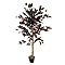 Leaf LEAF-7171 140cm Realistische Kunstmatige Japanse Fruticosa Ficus Boom, Groen en amp Zwart