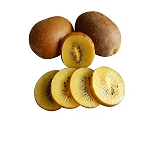 Kiwi Golden Tao, geel fruit 20 zaden (winterhard) RAR