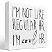 Human Resources Wooden Box Sign,I'm Not Like Regular HR I’m Cool HR Wood Block Sign,Funny Office Wooden Block Desk Decor for Home Meeting Room Shelf Decor White