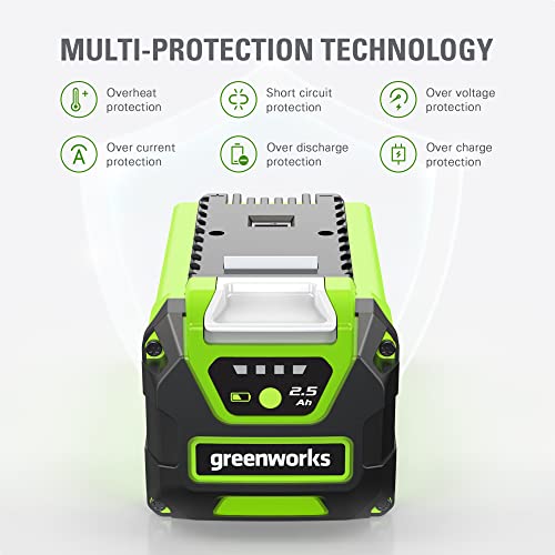 Image of Greenworks 40V 2.5Ah USB Lithium-Ion Battery (Genuine Greenworks Battery / 75+ Compatible Tools)