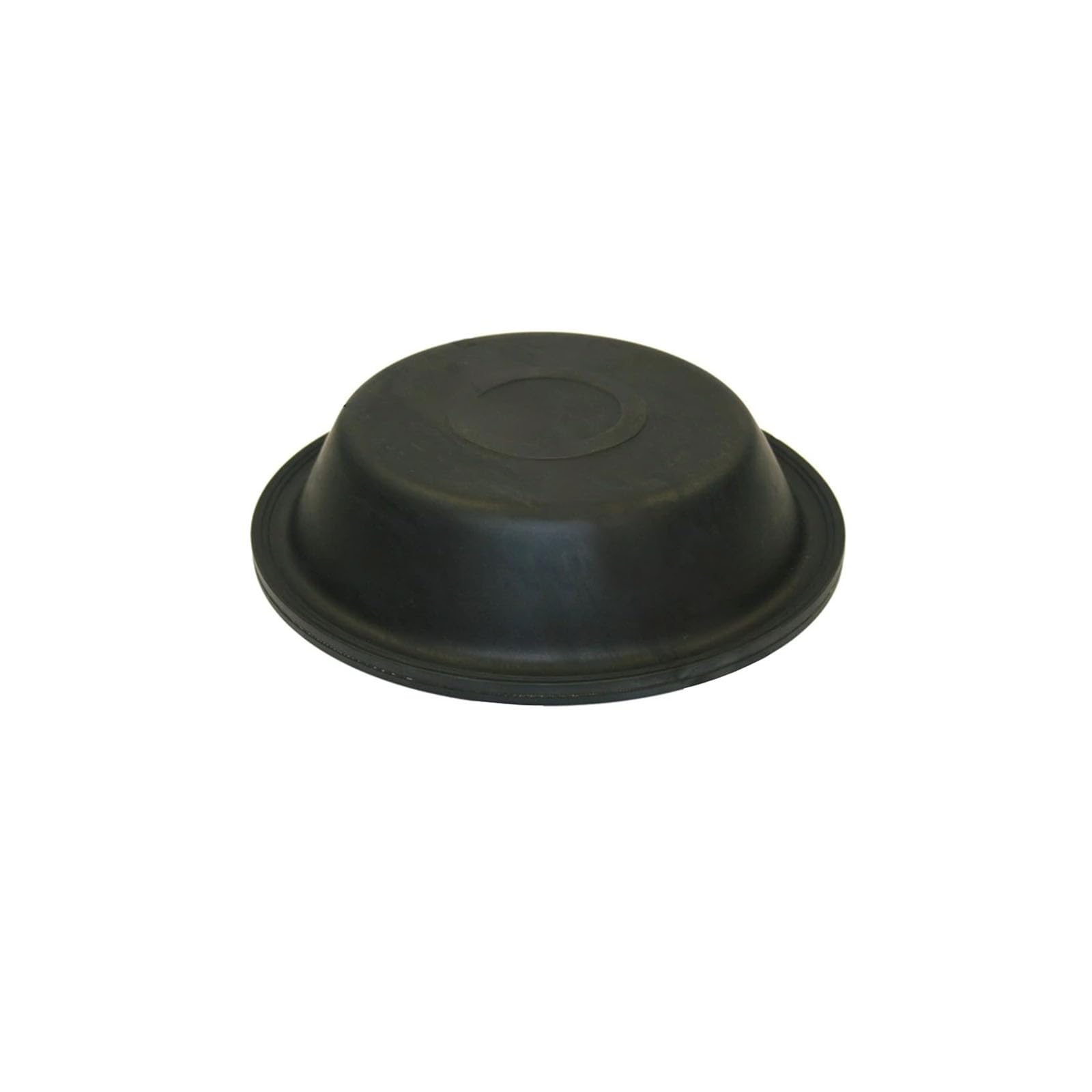 Diaphragm Type 36 179.DT36 E8895