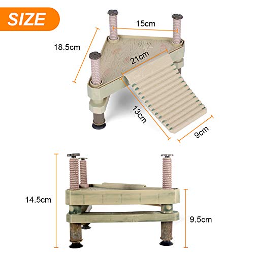 EBTOOLS Piattaforma Galleggiante per rettili, quai galleggianti per Tartarughe, Piattaforma per prepararsi per Tartarughe con rampa Testurizzata e Ventosa, Livello dell'Acqua Adatto 5-14 cm