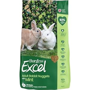 Excel Rabbit Food, Green, 9 kg (Pac...