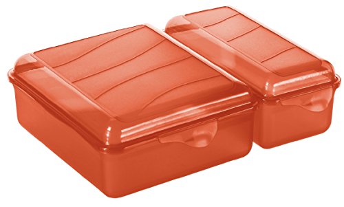 Rotho 1718900096 Funbox Contenitore per merenda e