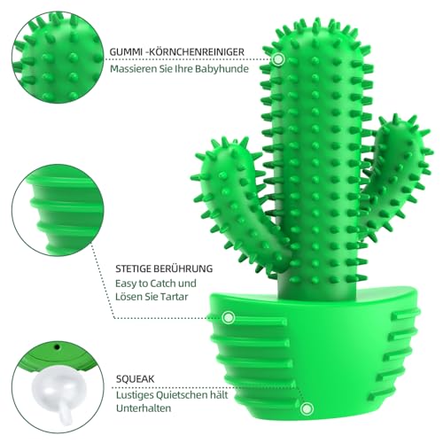 HETOO Hundespielzeug für Aggressives Kauen, Kauspielzeug Hund Fast Unzerstörbar, Quietschend Hunde Spielzeug Für Mittelgroße Hunde, Robuster Langlebig Gummi Dog Toys (Kaktus)