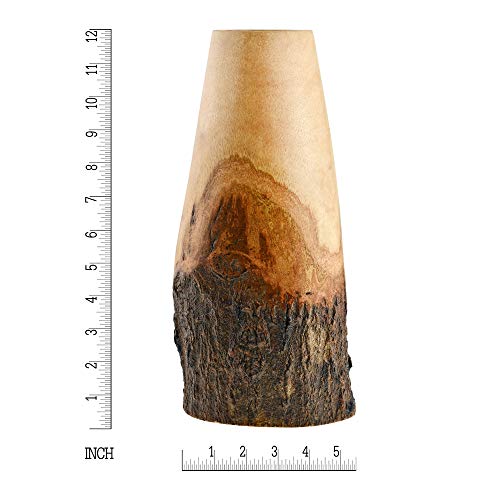 Aeravida Eco-Chic Natural Bark Decorative Mango Tree Wood Flower Vase | Classic Flower Vase | Mango Tree Wood Flower Vase| Handmade Home Office Table Vase| Flower Vases Decorative For Living Room #TOP3