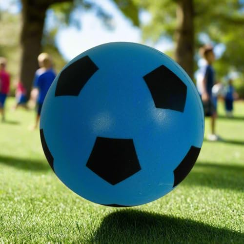HTI Fun Sport Schaumstoff-Fußbälle | Weiche, sichere Schaumstoffbälle für Indoor & Outdoor | Langlebig, leicht & ideal für Kinder & Erwachsene | Spaß für alle Altersgruppen | 19,4 cm (1 Blau)