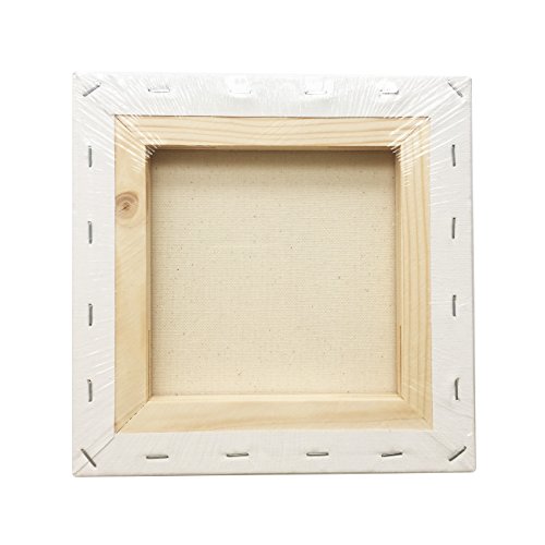 Lwr Crafts Stretched Canvas 8" X 8" Pack Of 6 #TOP2