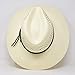 Stetson Digger, Color: Natural, Size: M (TSDGGR-383281M0)