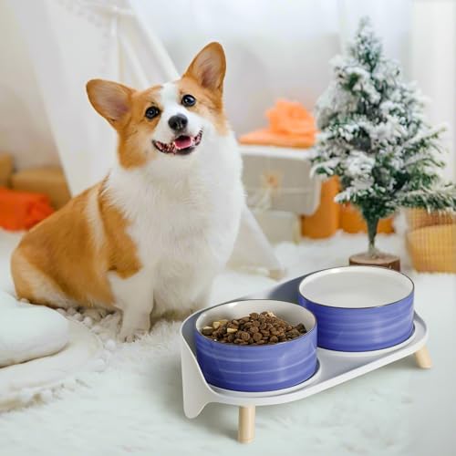 Hunde Napfset Hundenapf Set Erhöht - Doppelnapf Keramik mit Spritzschutz Ständer - Bunte Spirals Hundenäpfe für Futter und Wasser - Ideal für Kleine bis Mittelgroße Hunde - 2 x 800 ml - Blau